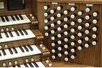 Organ of the Week