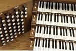 Organ of the Week