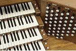 Organ of the Week