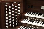 Organ of the Week