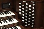 Organ of the Week