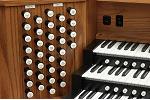 Organ of the Week