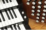 Organ of the Week