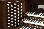 Organ of the Week