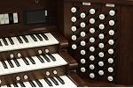 Organ of the Week