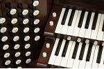 Organ of the Week