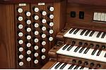 Organ of the Week