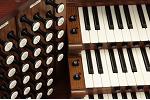 Organ of the Week