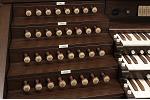 Organ of the Week