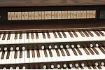 Organ of the Week