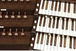 Organ of the Week