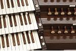 Organ of the Week