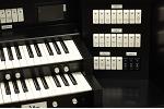Organ of the Week