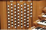 Organ of the Week