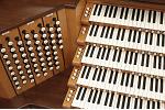 Organ of the Week