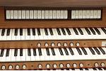 Organ of the Week