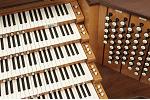 Organ of the Week