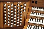 Organ of the Week