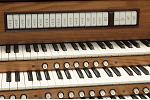 Organ of the Week