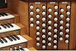 Organ of the Week