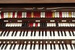 Organ of the Week