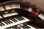 Organ of the Week