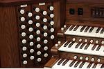 Organ of the Week