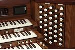 Organ of the Week