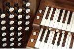 Organ of the Week