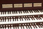 Organ of the Week