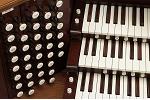 Organ of the Week