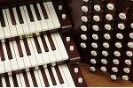 Organ of the Week