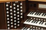 Organ of the Week