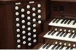 Organ of the Week