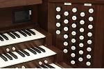 Organ of the Week