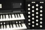 Organ of the Week
