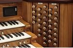Organ of the Week