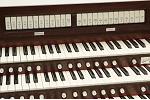 Organ of the Week