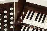 Organ of the Week