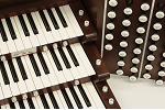 Organ of the Week