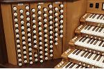 Organ of the Week