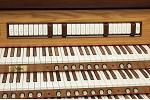 Organ of the Week