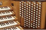 Organ of the Week