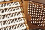Organ of the Week