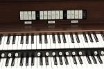 Organ of the Week