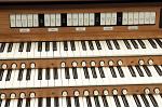 Organ of the Week