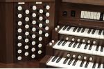 Organ of the Week