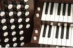 Organ of the Week