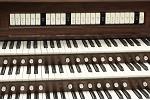 Organ of the Week