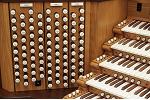 Organ of the Week